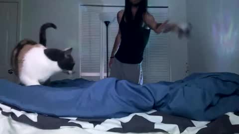 weedwacker43 online show from 12/26/24, 07:03