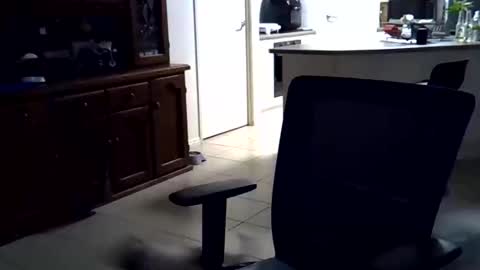 Snapshot of wellhelloo chatting on 02/15/26, 12:36 Wellhelloo online show from 02/15/26, 12:36