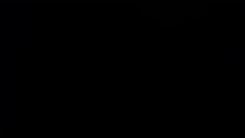 wellingtont online show from 09/28/25, 02:06