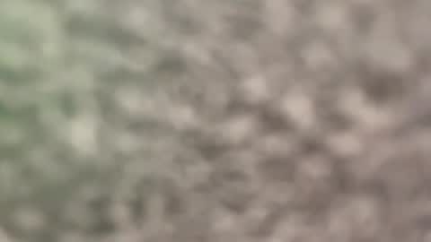 Eva online show from 04/04/26, 11:18