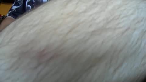 werewolf549 online show from 10/14/25, 07:53