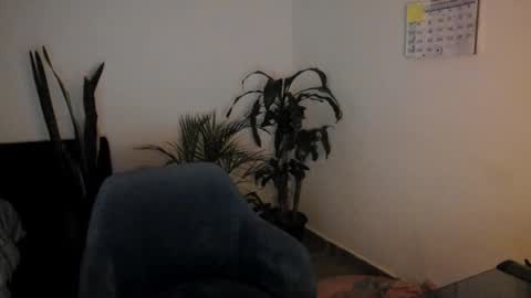 Snapshot of west_ta chatting on 09/26/25, 11:09 tatty online show from 09/26/25, 11:09