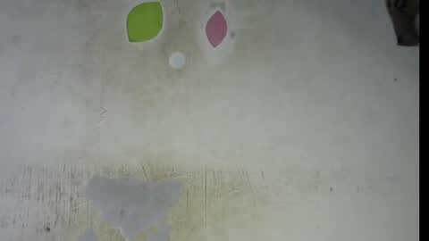 Snapshot of wet_pussy200 chatting on 02/06/26, 09:29 Bella online show from 02/06/26, 09:29