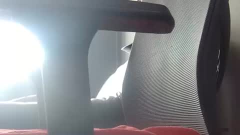 Wetbigdickstream online show from 06/23/26, 11:41