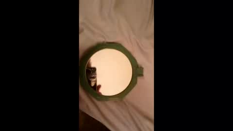 Snapshot of whetedoyouwantmetoputit chatting on 03/22/26, 10:02 whetedoyouwantmetoputit online show from 03/22/26, 10:02