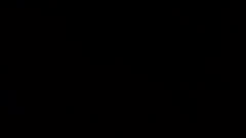 whitehead_lion online show from 02/09/25, 05:40