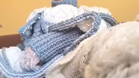 Snapshot of whitesweater chatting on 03/23/26, 06:50 whitesweater online show from 03/23/26, 06:50