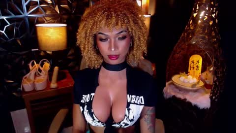 wildara online show from 03/03/25, 07:21