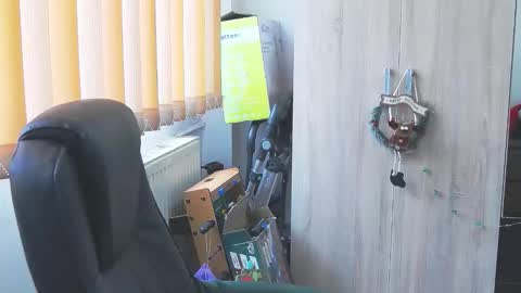 Snapshot of wildbea23 chatting on 12/17/25, 11:16 Bea online show from 12/17/25, 11:16