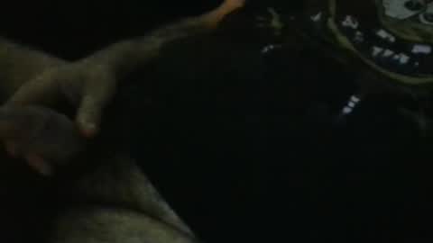 WildeAlex online show from 09/28/25, 11:21