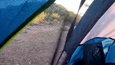 Snapshot of wildernessgoddess chatting on 11/14/25, 11:46 wildernessgoddess online show from 11/14/25, 11:46