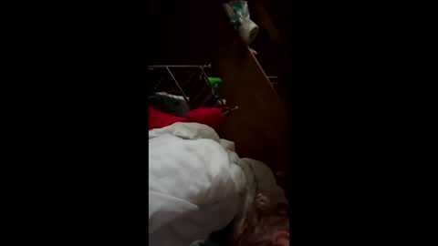 Snapshot of wildkatxx20 chatting on 03/19/26, 12:42 wildkatxx20 online show from 03/19/26, 12:42