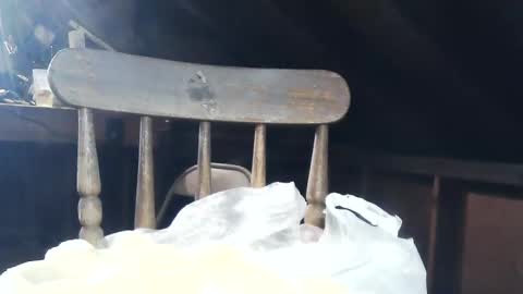 Snapshot of wildman6 chatting on 02/08/25, 08:53 wildman6 online show from 02/08/25, 08:53