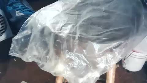 Snapshot of wildman6 chatting on 11/02/25, 08:44 wildman6 online show from 11/02/25, 08:44