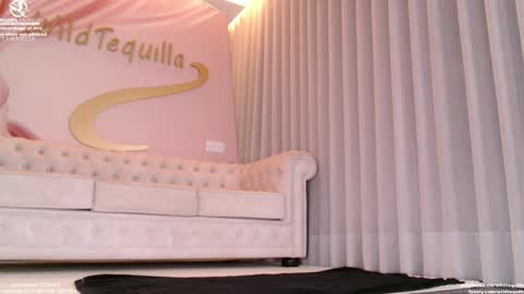 Snapshot of wildtequilla chatting on 03/11/26, 07:53 Lili online show from 03/11/26, 07:53