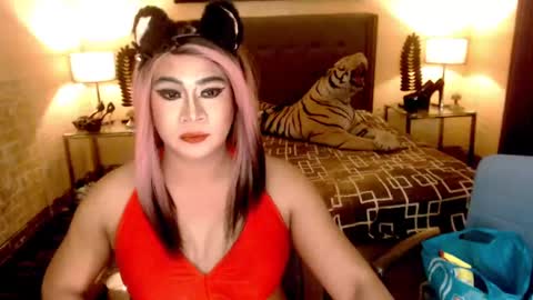 Snapshot of wildtransjhade chatting on 01/06/25, 09:30 wildtransjhade online show from 01/06/25, 09:30