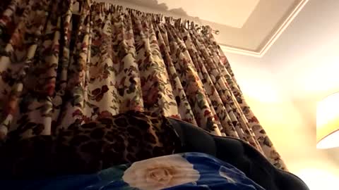 wildwills online show from 06/08/26, 10:21