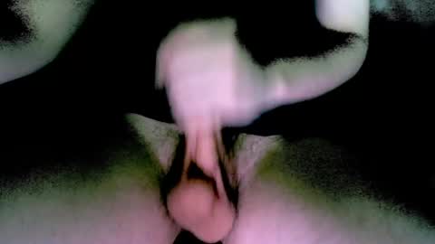 willcox10301 online show from 12/13/24, 06:05