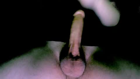 willcox10301 online show from 01/12/25, 10:12