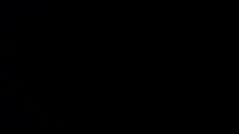 williewants online show from 11/28/25, 10:29