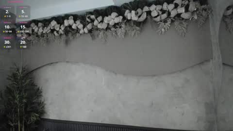 Snapshot of willow_hendrix chatting on 12/29/24, 12:01 Ms Willow online show from 12/29/24, 12:01