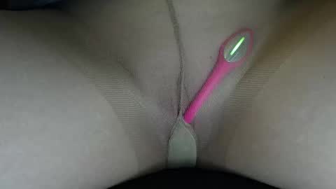 Snapshot of willowatwork chatting on 02/17/26, 06:03 Willow online show from 02/17/26, 06:03