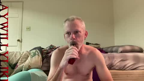 Snapshot of willylikestoplay74 chatting on 01/06/25, 06:31 Twisted Will online show from 01/06/25, 06:31