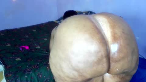 wilmaassylum online show from 12/01/25, 08:52