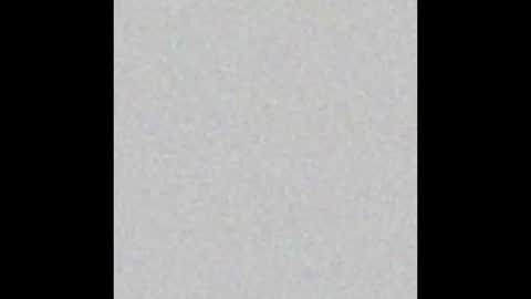 wilmot69noah online show from 02/19/25, 11:49