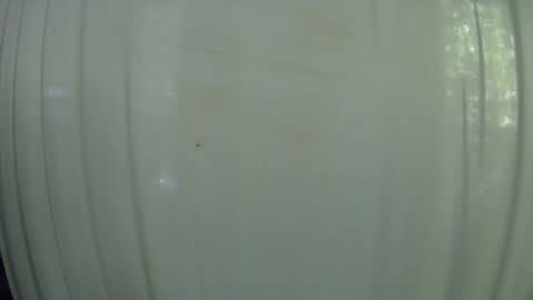 Mater online show from 10/07/25, 07:55