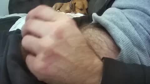 wmasolutions2020 online show from 03/16/26, 08:57