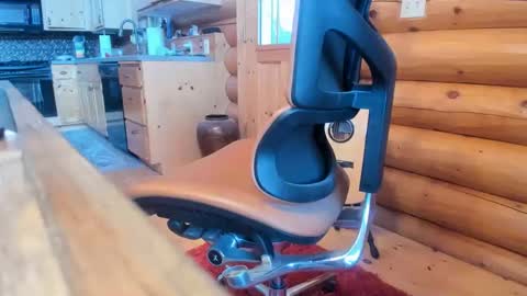 Snapshot of wobbleon chatting on 01/03/25, 10:19 Gobbleon online show from 01/03/25, 10:19