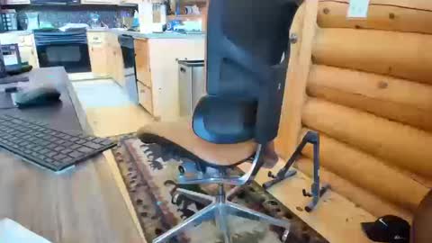 Snapshot of wobbleon chatting on 10/16/25, 06:31 Gobbleon online show from 10/16/25, 06:31