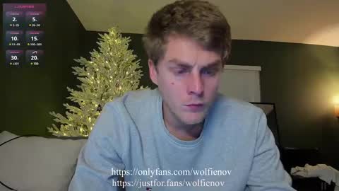Snapshot of wolfiell chatting on 01/20/25, 05:37 Wolfienov online show from 01/20/25, 05:37