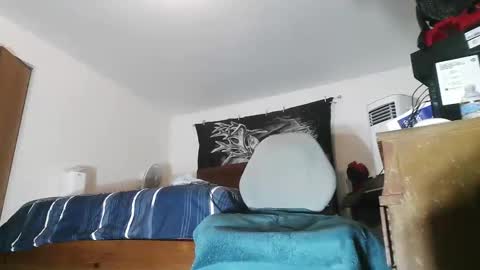 wolfman79 online show from 02/18/26, 11:39