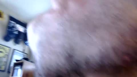 Snapshot of woodiesays chatting on 02/13/26, 04:36 WoodieSays online show from 02/13/26, 04:36