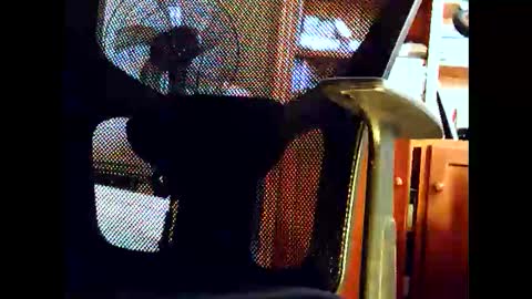 woodyforyou2 online show from 01/19/26, 12:47