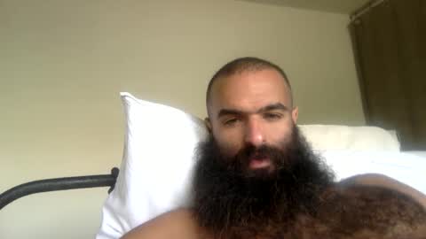 Snapshot of woof_wolf37 chatting on 04/21/26, 04:12 woof_wolf37 online show from 04/21/26, 04:12
