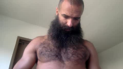 woof_wolf37 online show from 05/19/26, 03:40