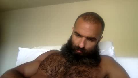 woof_wolf37 online show from 05/31/26, 05:42