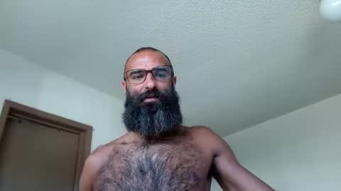 woof_wolf37 online show from 06/10/26, 04:06