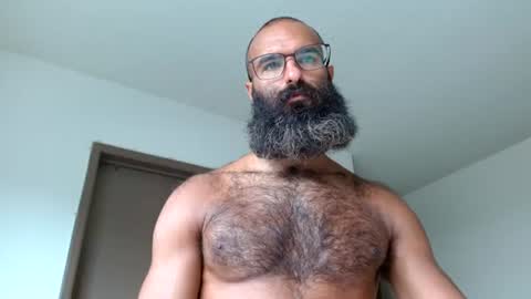 woof_wolf37 online show from 06/23/26, 04:27