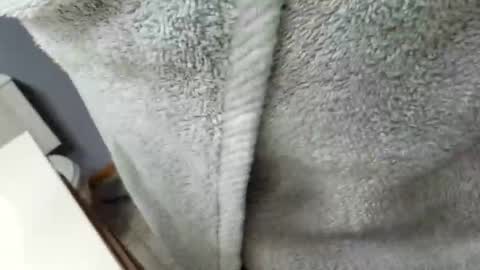 workingman6969 online show from 02/26/25, 09:37