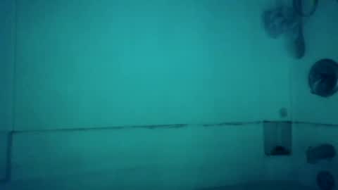 Snapshot of wundrsword33 chatting on 12/04/24, 08:01 BONER DONOR online show from 12/04/24, 08:01