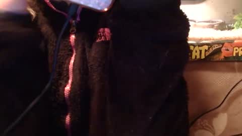 Snapshot of x2kayx2 chatting on 01/10/26, 11:31 x2kayx2 online show from 01/10/26, 11:31