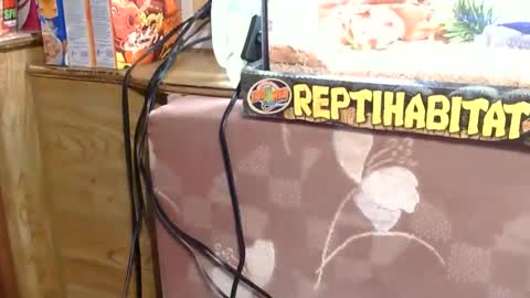 Snapshot of x2kayx2 chatting on 01/13/26, 09:42 x2kayx2 online show from 01/13/26, 09:42