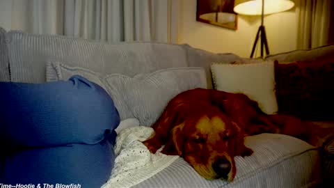 Lily online show from 09/15/25, 11:27