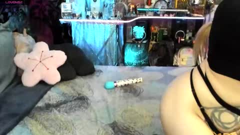 Xaevynne  Sometimes Milla Milla The Cute as a Buttom Brunette     online show from 11/23/25, 04:56