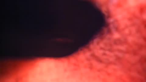 XALLYSONX online show from 02/12/25, 02:21