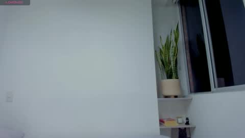 Xavier online show from 11/11/25, 01:49